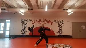 Image result for Springwood Karate