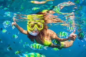 Image result for Wyndley NSC Snorkelling Club