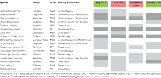 Image result for Pseudomyxus capensis