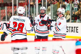 Image result for Oswestry Hockey Club