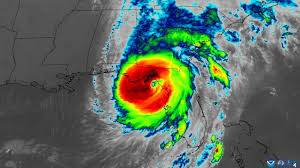 Image result for Halstead Cyclones