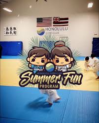 Image result for Halewood Inclusive Judo Club