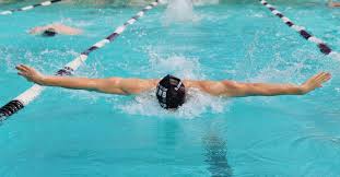 Image result for Interfreestyle Sport Karate