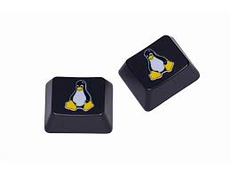 Image result for linux tux