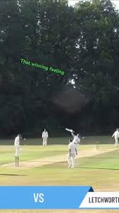 Image result for Abbots Langley Cricket Club