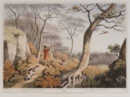 Image result for Shooting, Hunting, Fieldsports on Art prints from 1700's to 1900's