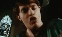 AC/DC Angus