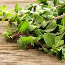 Image result for Majoran