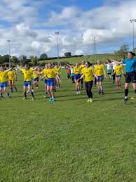 Image result for Tullylish Gac