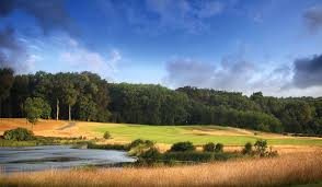 Image result for Central London Golf Club