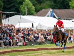 Image result for Woolmers Park Polo Club