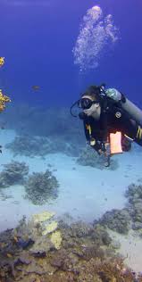 Image result for University Of London Sub-Aqua Club