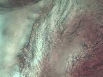 Attēlu rezultāti vaicājumam “Octospora splachnophila spores”