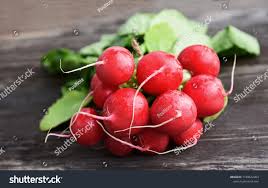 Image result for Radieschen