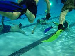 Image result for Kingsbridge Krays Octopush Club