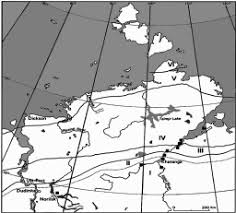 Attēlu rezultāti vaicājumam “Stemonitopsis subcaespitosa macro”