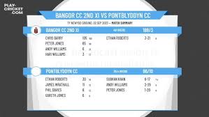 Image result for Pontblyddyn Cricket Club