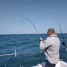 Image result for Newhaven Deep Sea Anglers