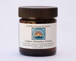 Attēlu rezultāti vaicājumam “Ledum palustre”