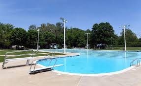 Image result for Fleetwood and District Swimming Club