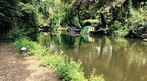 Image result for Frimley