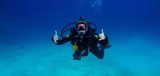Image result for Scuba Skooling