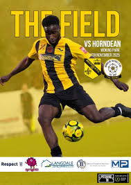 Image result for Westfields Football Club Ltd