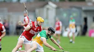 Image result for Cork Rebels