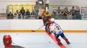 Image result for Urban Knights Inline Roller Hockey