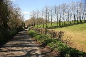 Image result for Castle Cary Cc