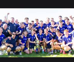 Image result for Wolfe Tones Gaelic Athletic Club