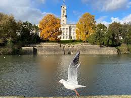 Image result for Nottingham Highfields Hockey Club