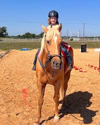Image result for Kings Ranch Riding School/Club