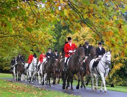 Image result for Pendle Forest Sports Club