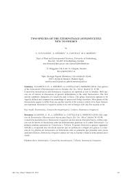 Attēlu rezultāti vaicājumam “Stemonaria irregularis”