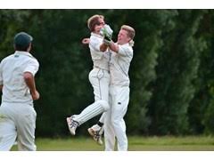 Image result for Abbots Langley Cricket Club