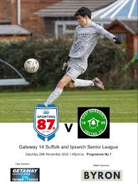 Image result for East Bergholt Badminton Club