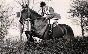 Image result for Porlock Vale Riding School