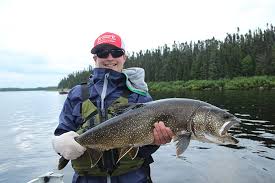 Image result for Salvelinus namaycush