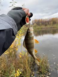 Image result for рыбалка