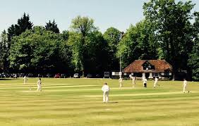 Image result for Wrecclesham Cricket Club