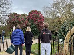 Image result for Warrington Samurai Judo Club