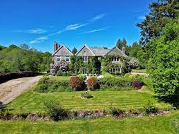 Image result for Newton Abbott Knights