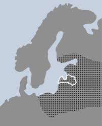 Attēlu rezultāti vaicājumam “Silene tatarica”