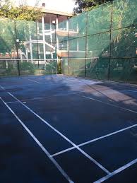 Image result for Dolphin Badminton Club