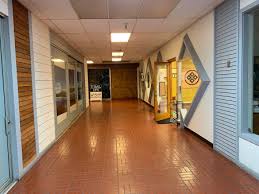 Image result for Ryuko Dojo