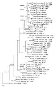 Attēlu rezultāti vaicājumam “Postia rennyi”