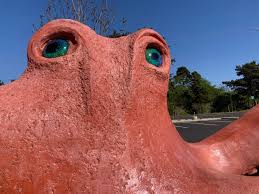 Image result for Watford & Acton Octopush Club