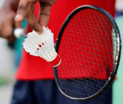 Image result for Wells Ladies Badminton Club