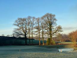 Image result for Fingle Glen Golf Club